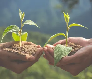 Business & Entrepreneurship